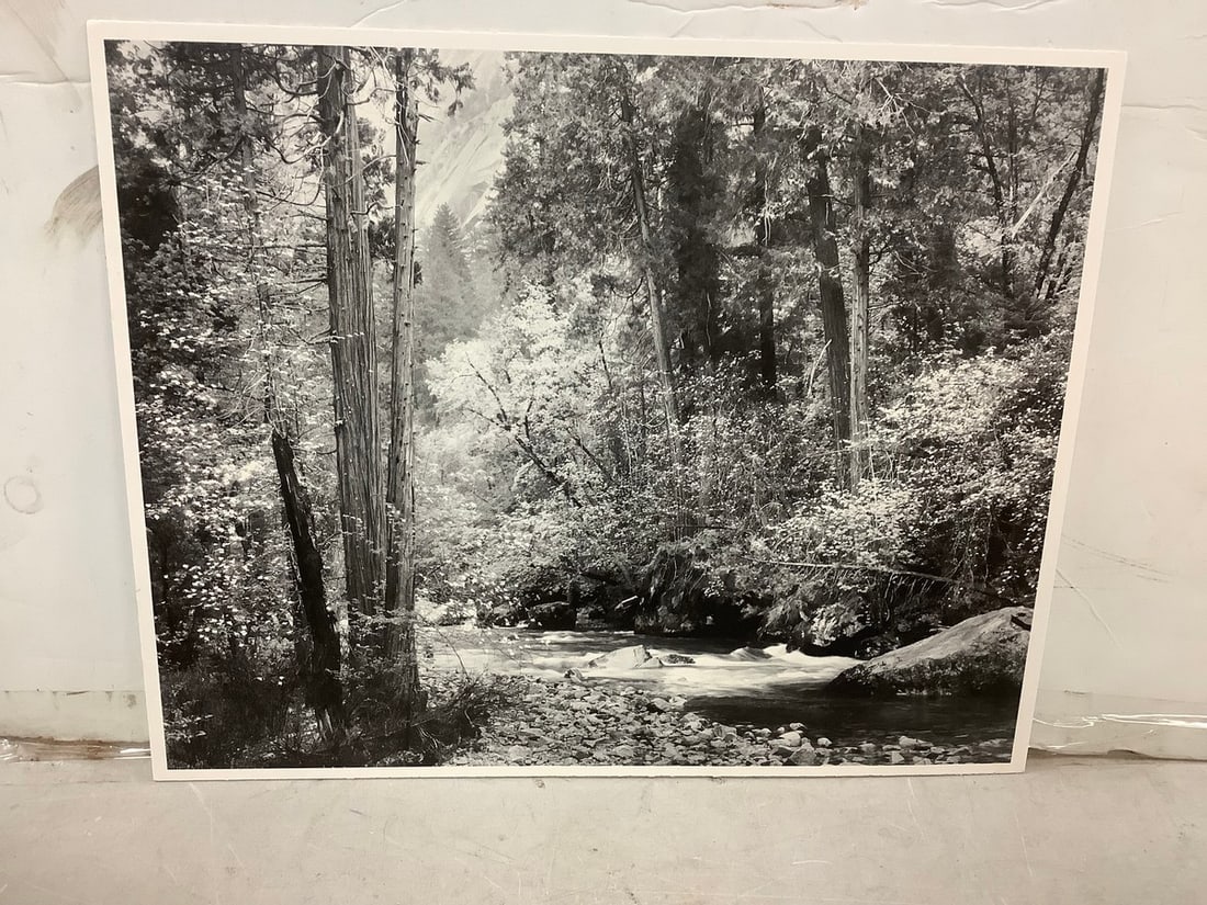 Cindy Sherman Print in Color 16.5x8.75: Cindy Sherman Print in Color 16.5x8.75