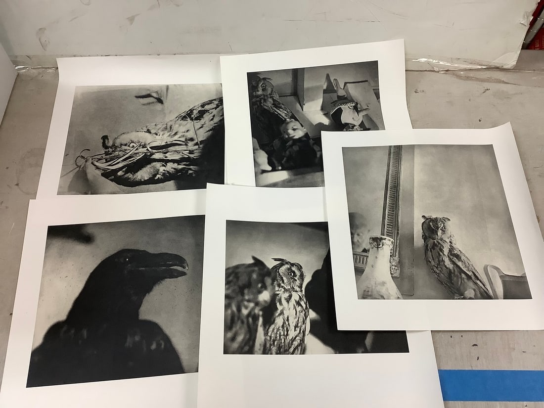 Jim Dine Lithographs Lot of 5 (1 of 1)