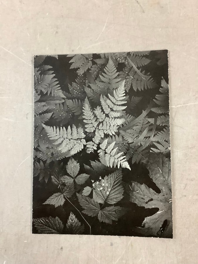 Ansel Adams print in colors 9.25x7": Ansel Adams print in colors 9.25x7"