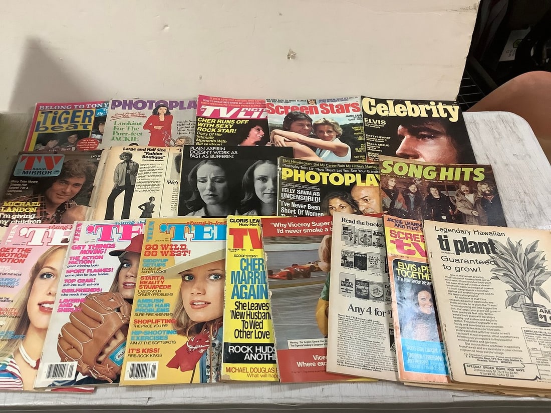 Lot of vintage magazines(Screen Stars, Photoplay, Tiger Beat, and more): Lot of vintage magazines(Screen Stars, Photoplay, Tiger Beat, and more)