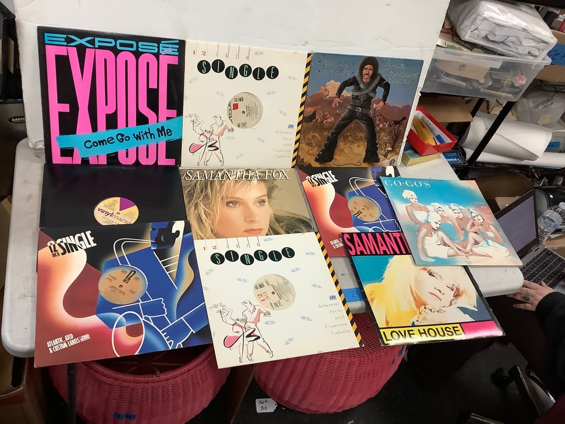 Lot of Records Including Samantha Fox and more (1 of 1)