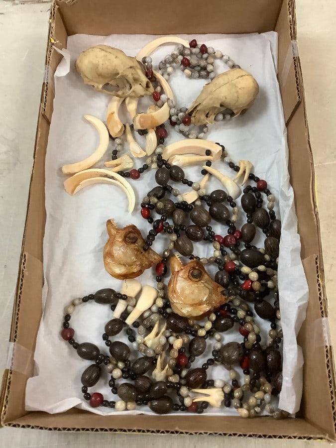 Piranha Heads, Voodoo Neckalaces with Skulls and More (1 of 1)