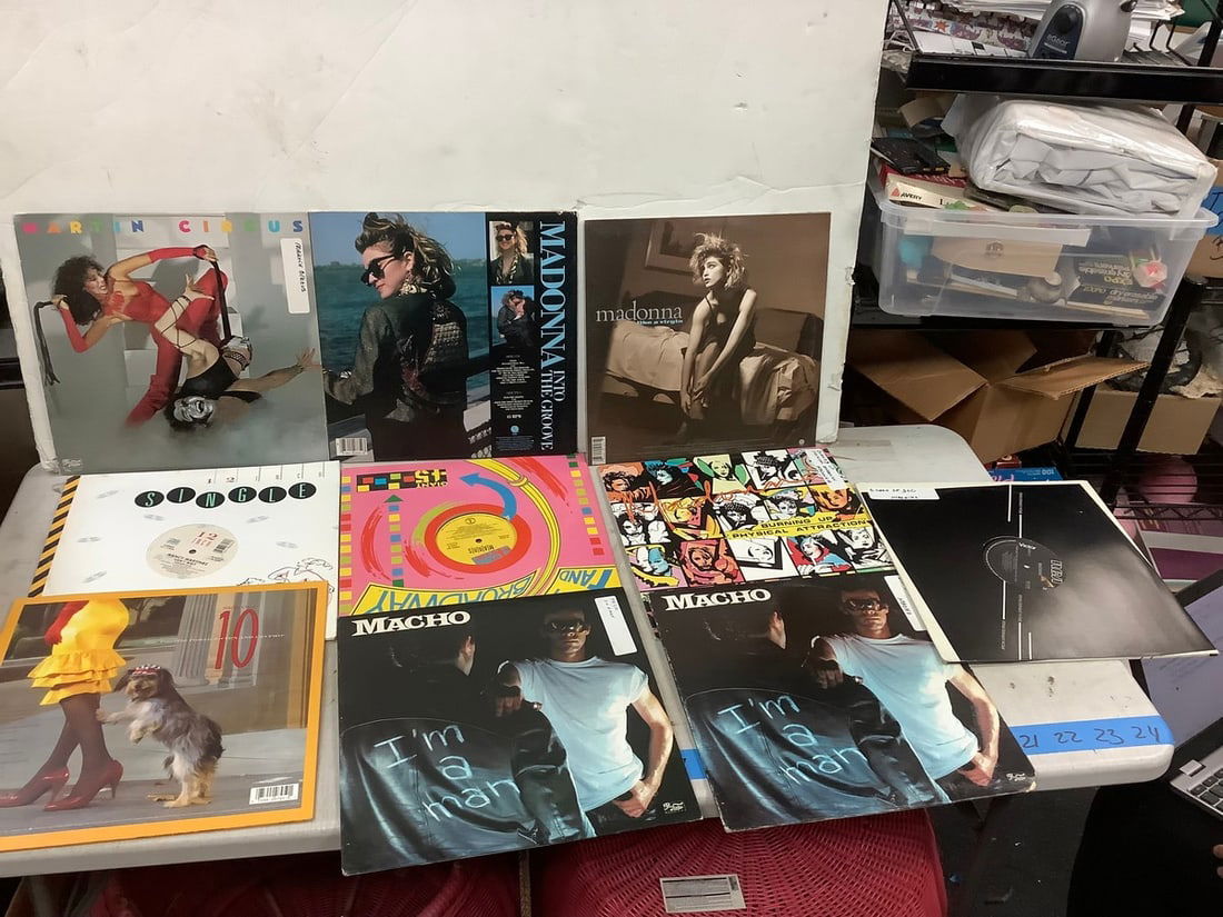 Lot of Records Including Madonna and More: Lot of Records Including Madonna and More