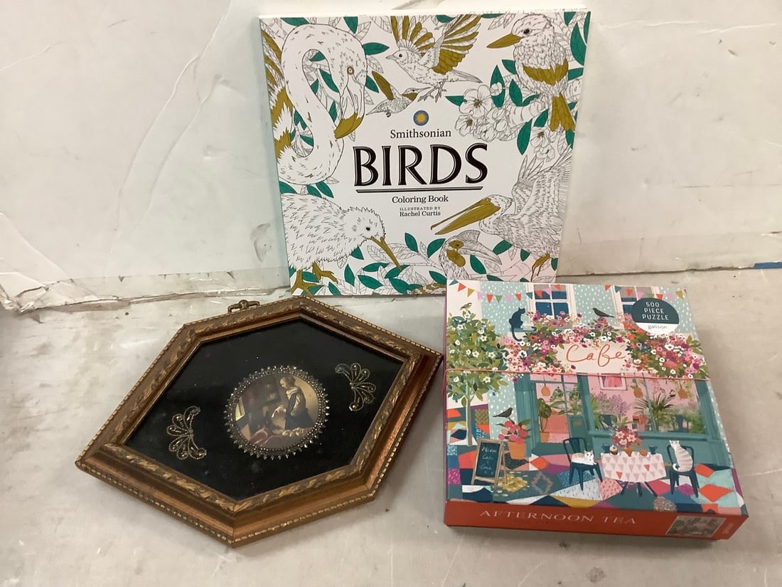 Coloring Book, 500 Piece Puzzle and Framed Hanging Wall Art 11.5x8" (1 of 1)