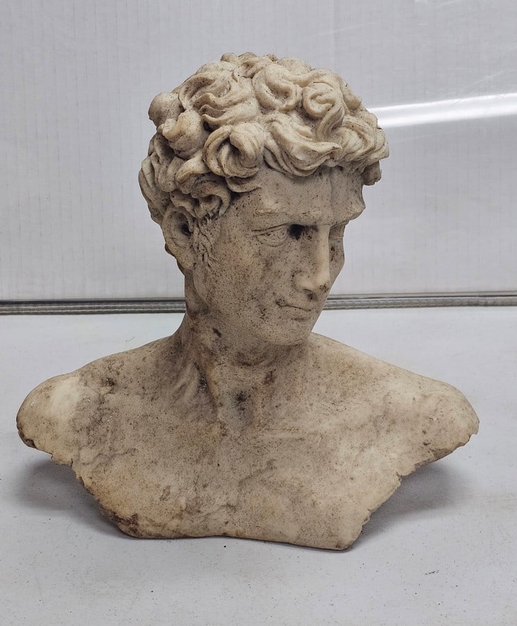 Resin Figural David Bust 11x11" (1 of 2)