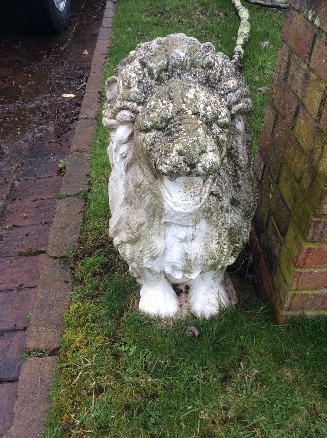 GARDEN STATUE - SEATED LION, CONCRETE, 29" TALL (1 of 1)