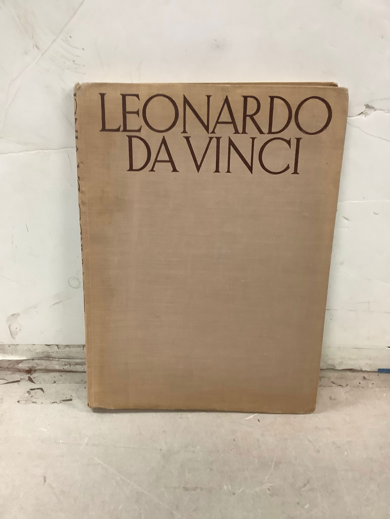 Lot of Leonardo Da Vinci Book: Lot of Leonardo Da Vinci Book