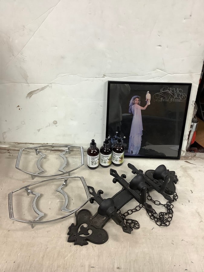 Lot of Stevie Nicks Bella Donna Framed Record Sleeve, 3 NIB Argan oil premium nature glass bottles (1 of 1)