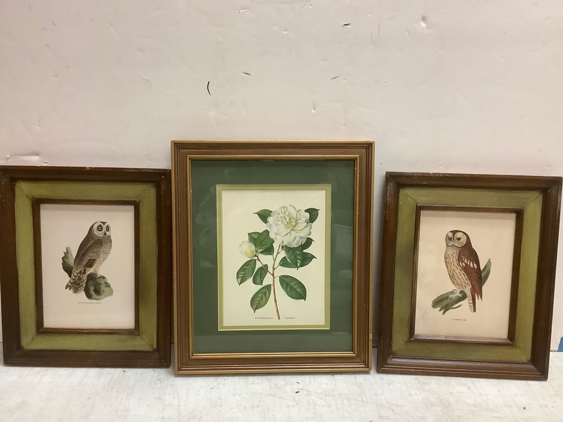 Lot of decorative framed prints(largest 11.5in.x13.5in.) (1 of 1)