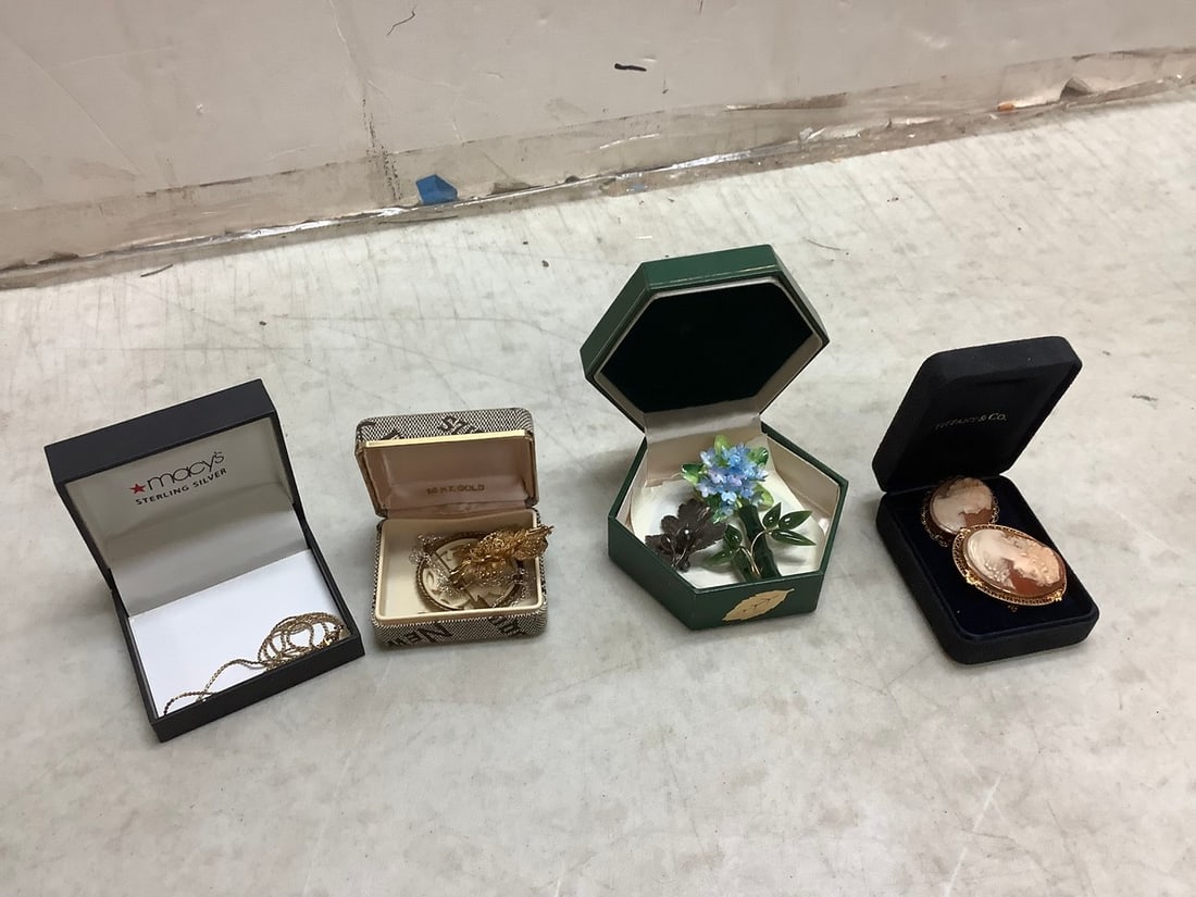 Tiffany & Co. Pins, Sterling Silver Necklace, Decrotive Pins and More (1 of 1)