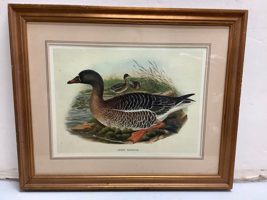 Framed canvas artwork 18 in x 22in (1 of 1)