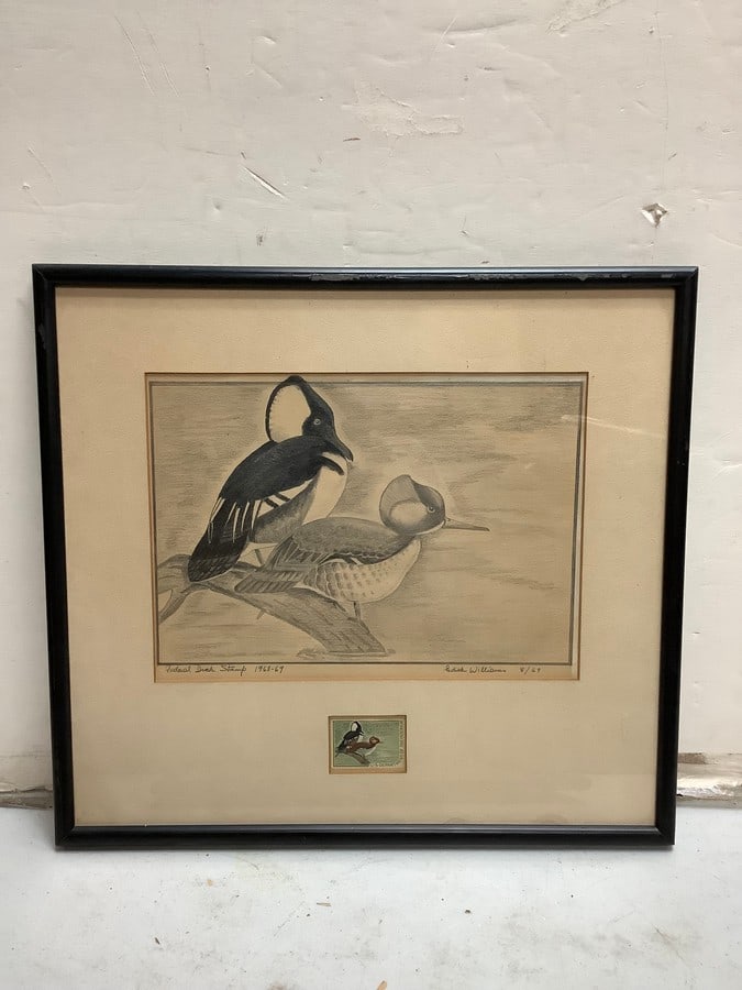 Framed draawing 15x16.5in federal duck stamp: Framed draawing 15x16.5in federal duck stamp