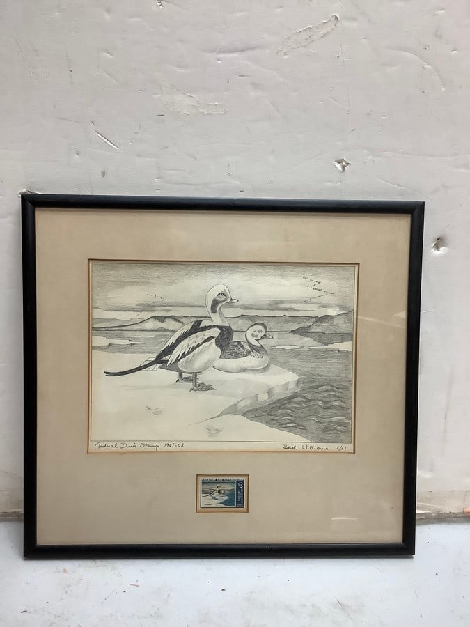 Framed drawing 15x16.5 in federal duck stamp: Framed drawing 15x16.5 in federal duck stamp