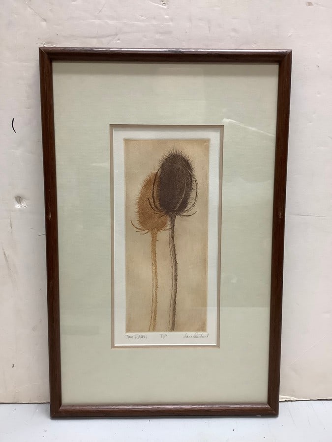 Framed two teasels artwork signed Sara Amatniek (20in.x13in.) (1 of 1)