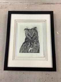Framed owl artwork signed in pencil 15x12