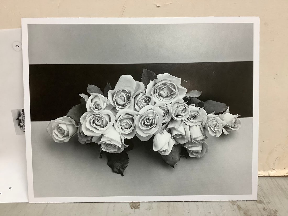 Roses, 1987 by Robert Mapplethorpe(print on board-8.5in.x10.5in.) (1 of 1)
