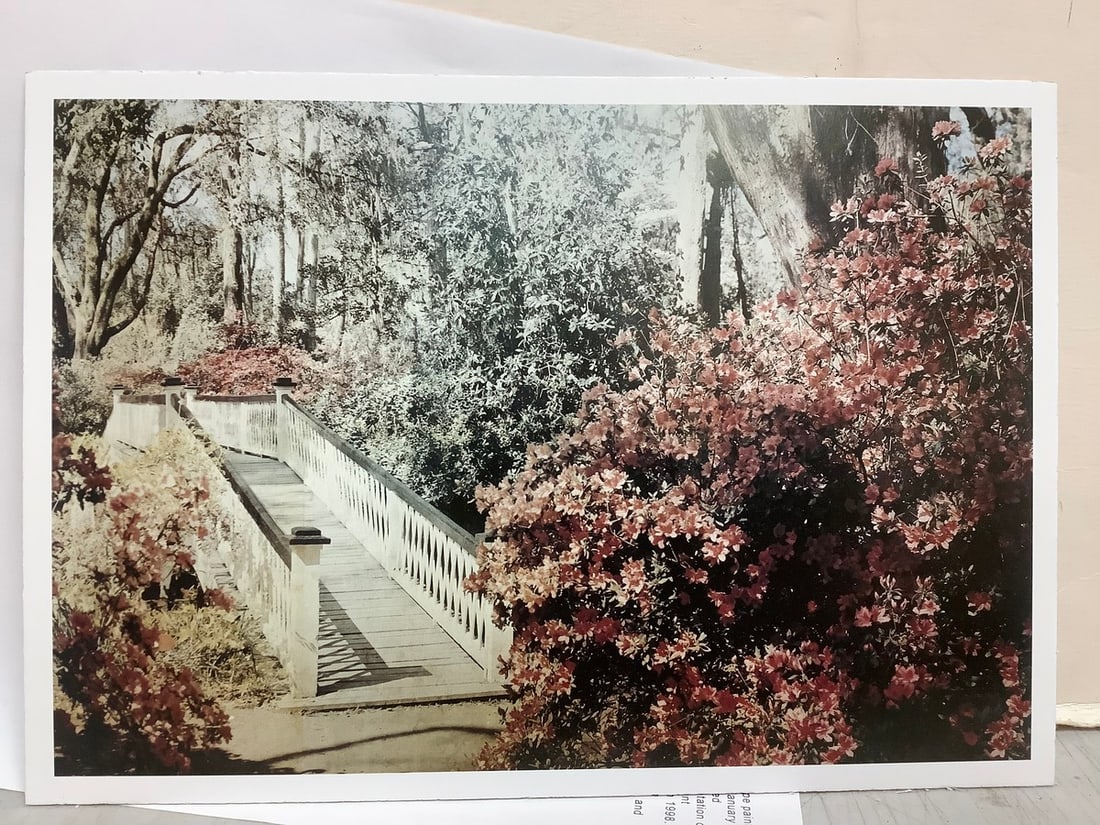 Photography print on board by Andreas Gursky(7in.x10in.): Photography print on board by Andreas Gursky(7in.x10in.)