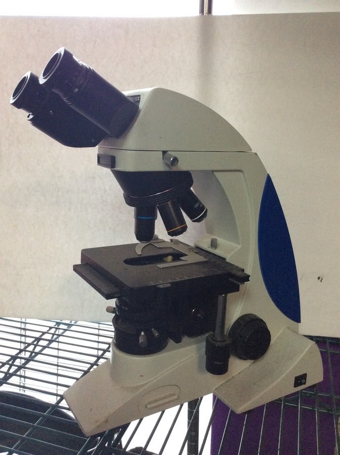 Biological microscope(about 16in.tall) (1 of 1)