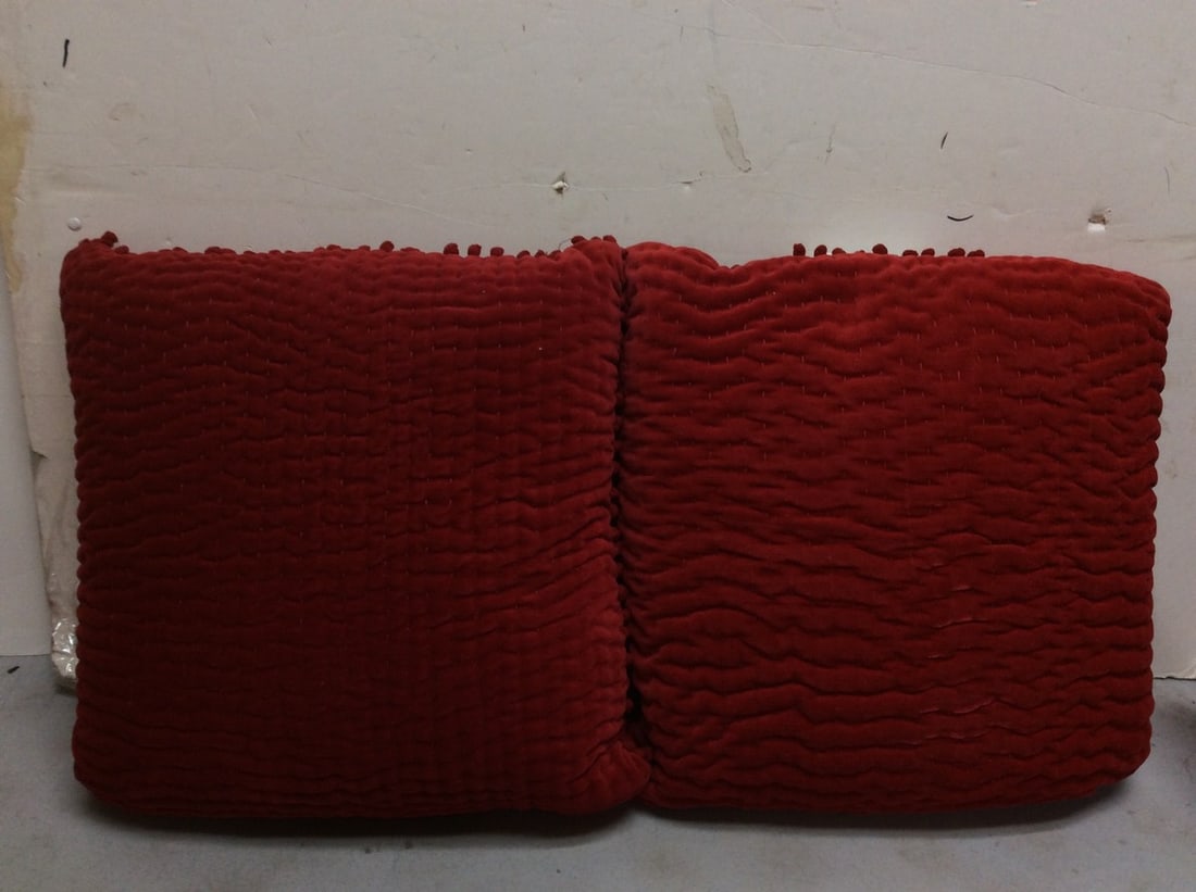 Brand new throw pillows (1 of 1)