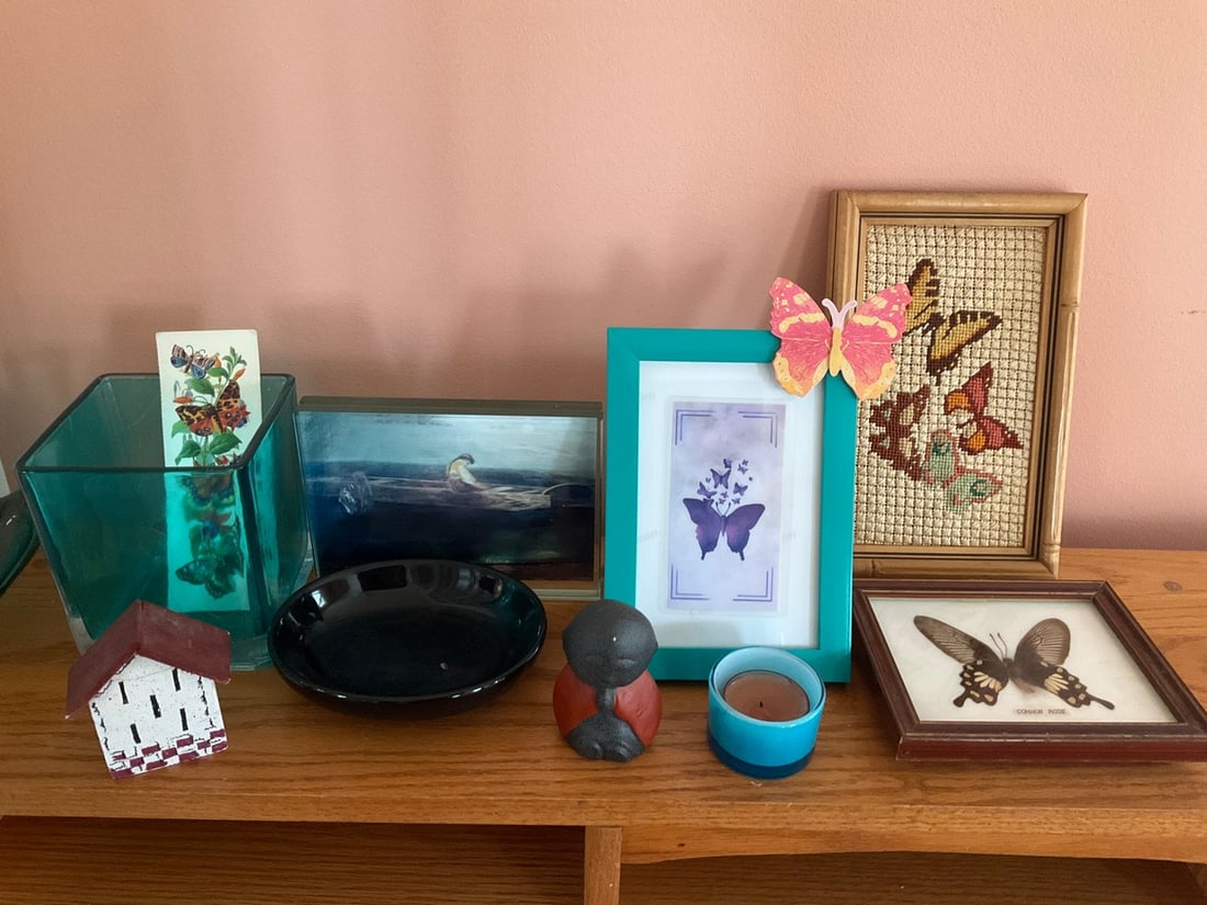 Framed Common Rose butterfly, framed butterfly art,trinkets, and more(largest 5..5in.x8.5in.) (1 of 1)