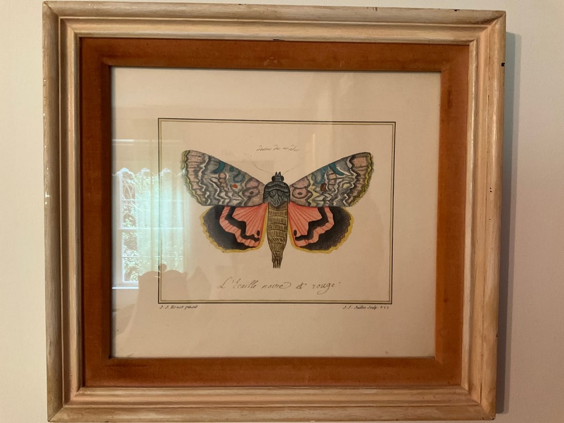 3D butterfly artwork signed Masi(14.5in.x13.25in.) (1 of 1)