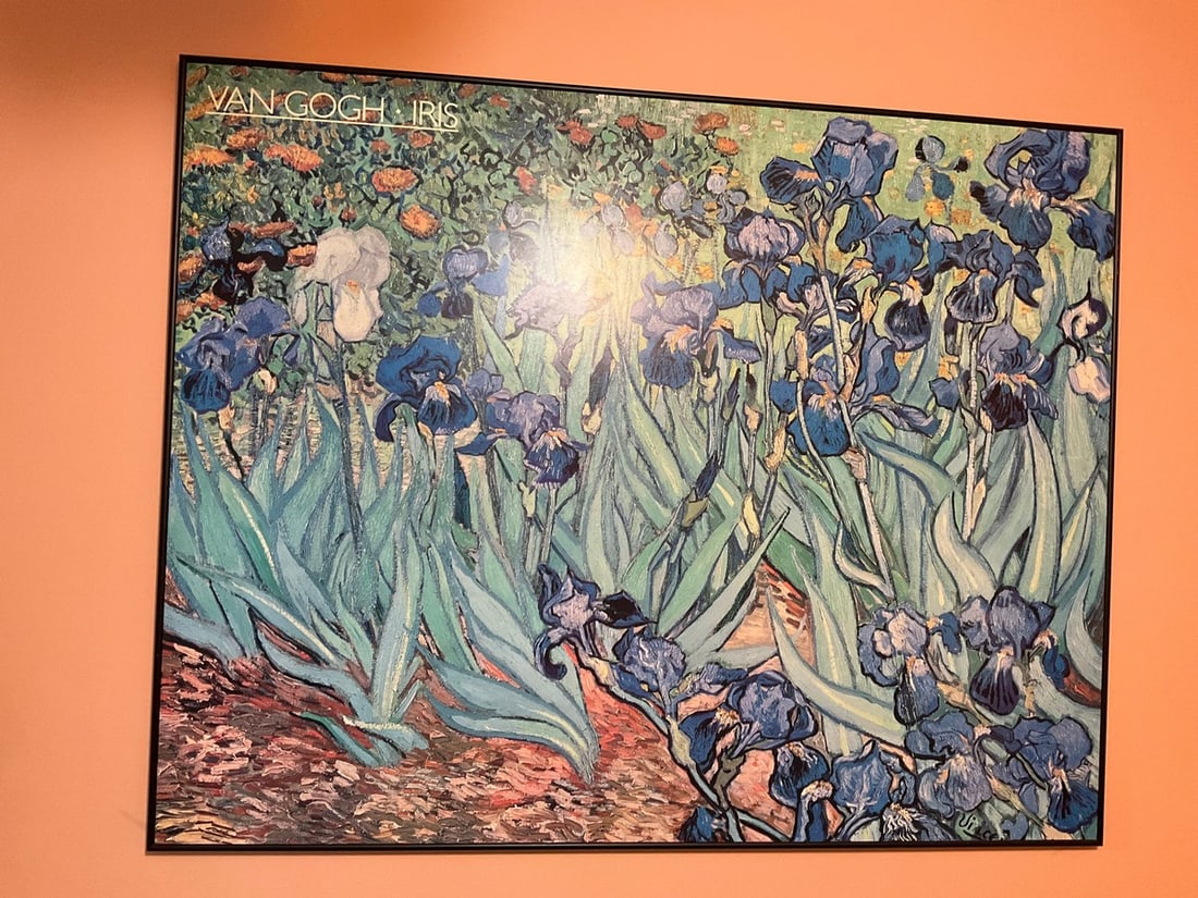 Van Gogh Iris framed print(38in.x48in.) (1 of 1)