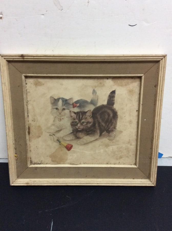 Framed cat print 15.5x13.5 (1 of 1)