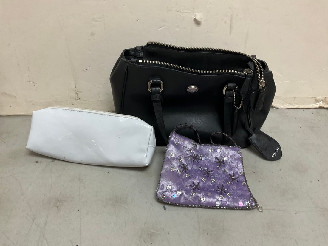 Various bags(Coach and more): Various bags(Coach and more)