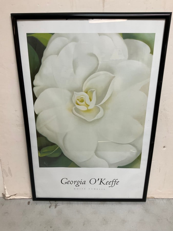 Georgia O'Keeffe White Camelia Framed Photograph(37inx25in) (1 of 1)