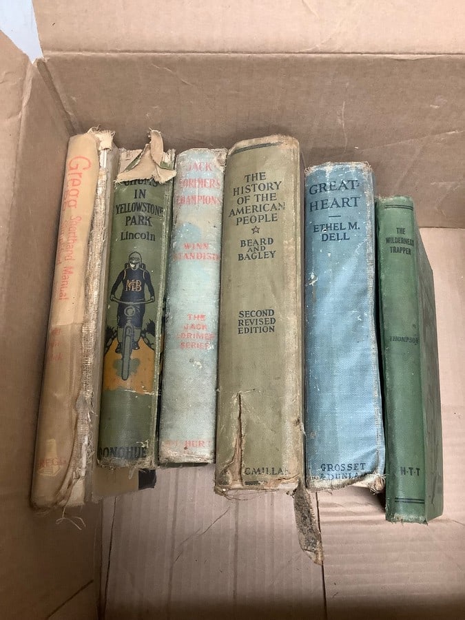 Vintage Books (Great Heart, Chums in Yellowstone Park, The Wilderness Trapper, and more) (1 of 1)