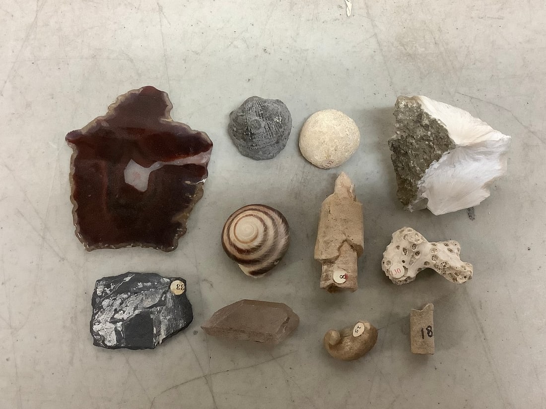 Rocks/minerals: Rocks/minerals