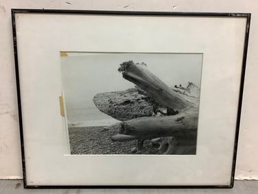 Framed Photograph (16.25inx20.25in)