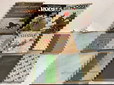 Vintage Books and Magazine (Horses, The Childrens Bible, The Boys of Columbia High and more)