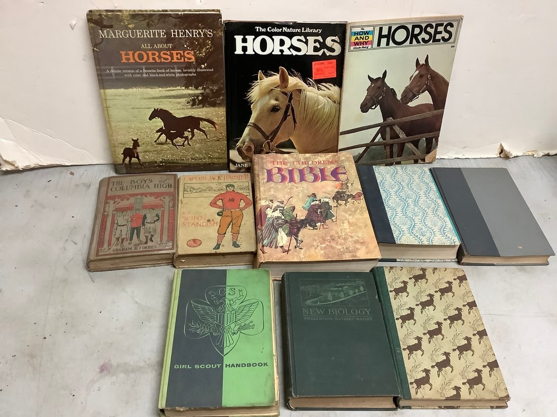 Vintage Books and Magazine (Horses, The Childrens Bible, The Boys of Columbia High and more) (1 of 1)