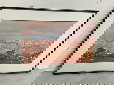 Framed and Signed Artwork (14inx20in)