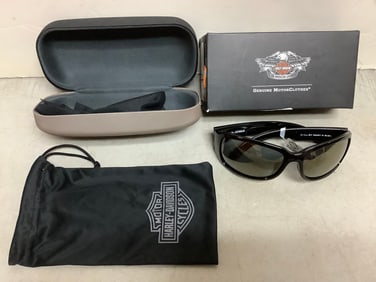 Harley Davidson Catwalk Model, Riding Glasses, Gord Mirror Lens with Hard Case - NEW