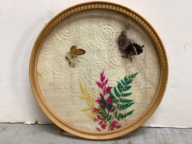 Gailstyn - Sutton Butterfly Artwork (11in Across)