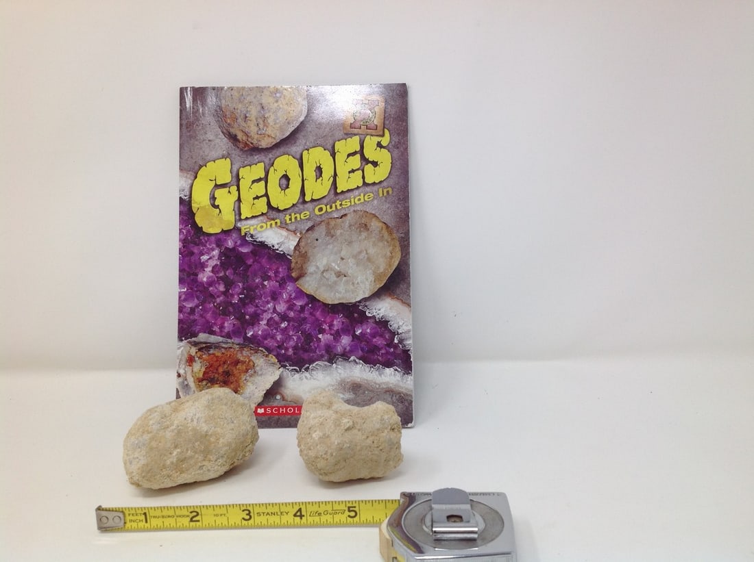 2 Uncut Geodes – Scholastic Geodes Book: 2 Uncut Geodes – Scholastic Geodes Book