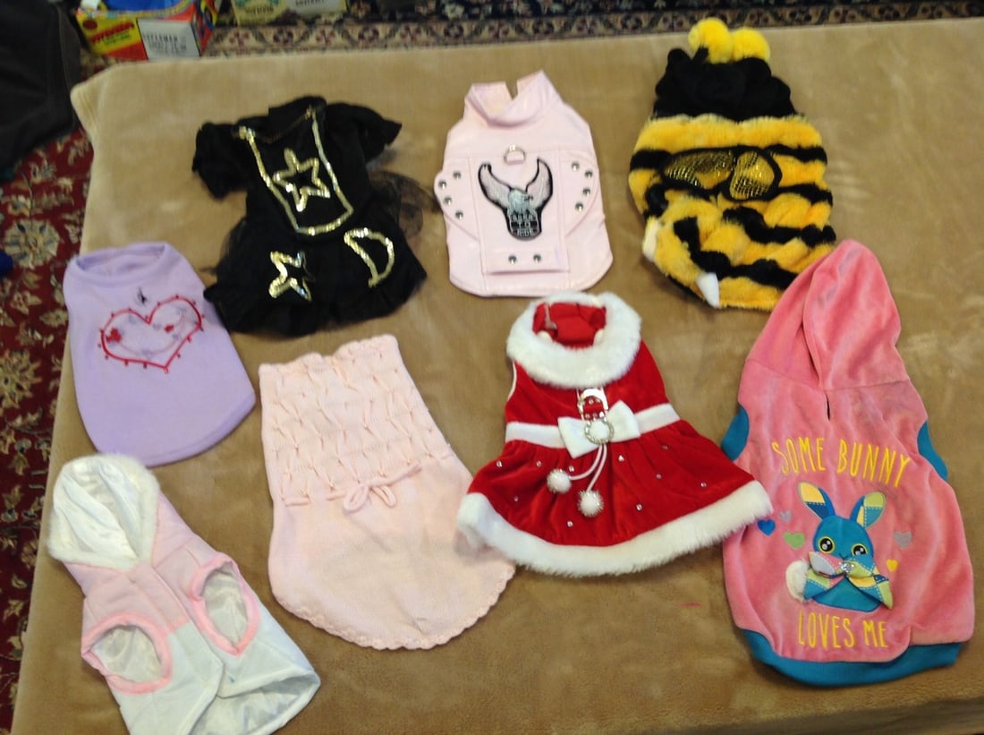 8 Small dog outfits: 8 Small dog outfits