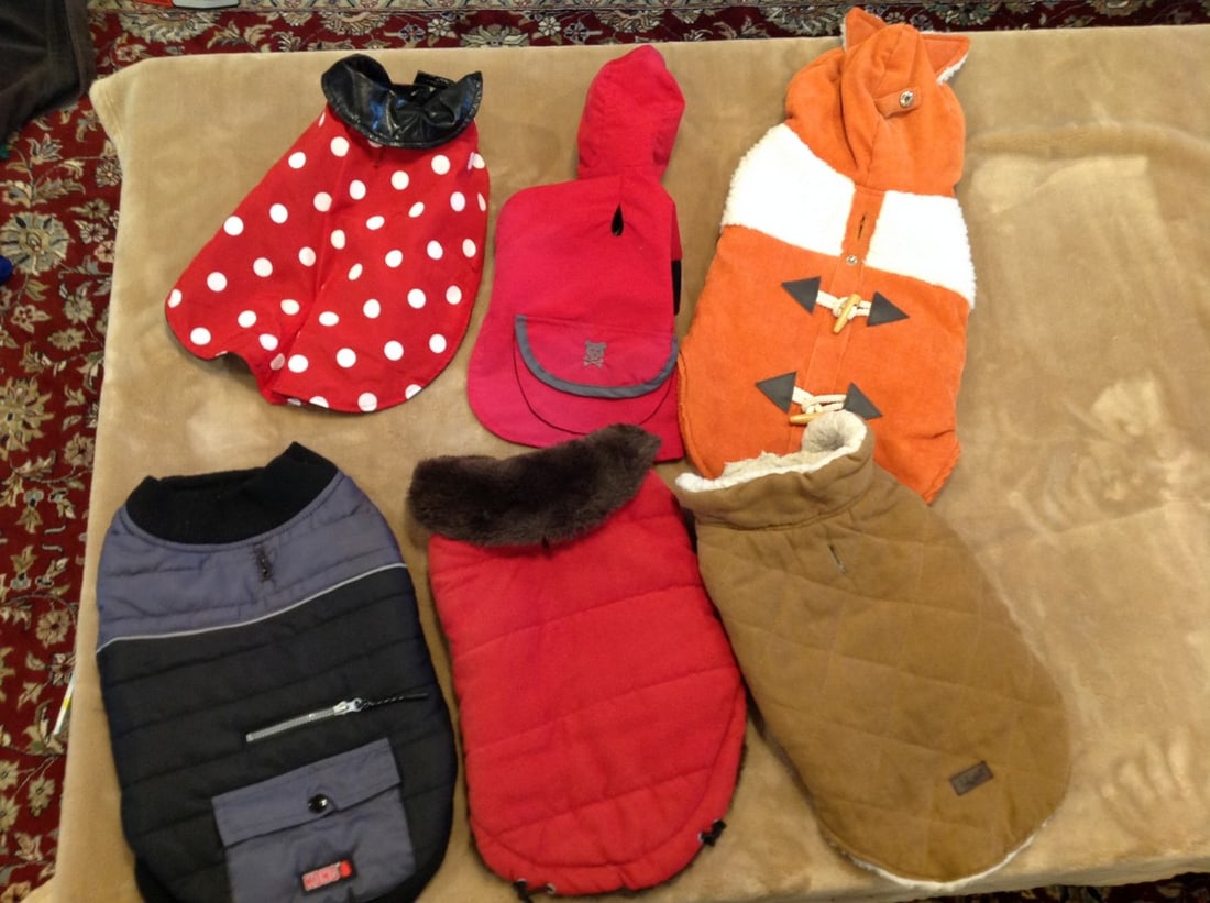 6 small medium dog coats: 6 small medium dog coats