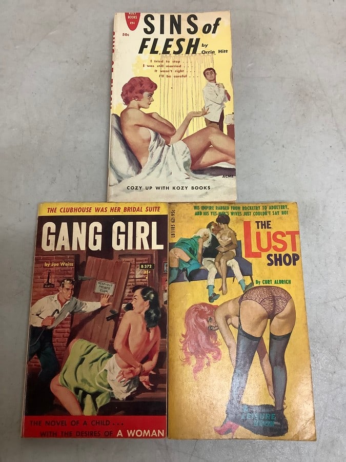 Vintage books(The Lust Shop, Gang Girl, and The Sins of Flesh): Vintage books(The Lust Shop, Gang Girl, and The Sins of Flesh)