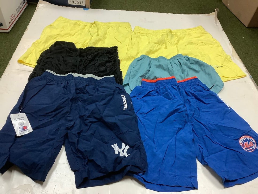 Vintage workout shorts(various sizes-Nike, Hind, Champion, Starter): Vintage workout shorts(various sizes-Nike, Hind, Champion, Starter)