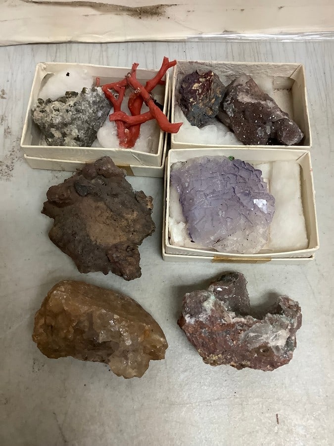 BARTMAN simpsons poster 21x32 (1 of 1)