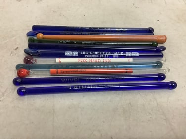 Bruce springstein recods with record case