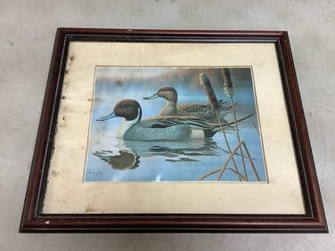 Signed framed duck print 13.75x16.25