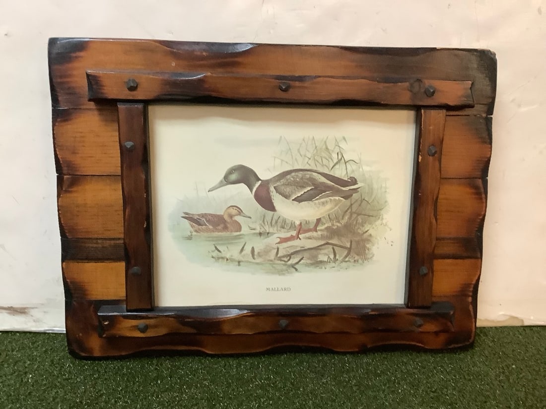 Framed Mallard duck sketch 12x16.25: Framed Mallard duck sketch 12x16.25