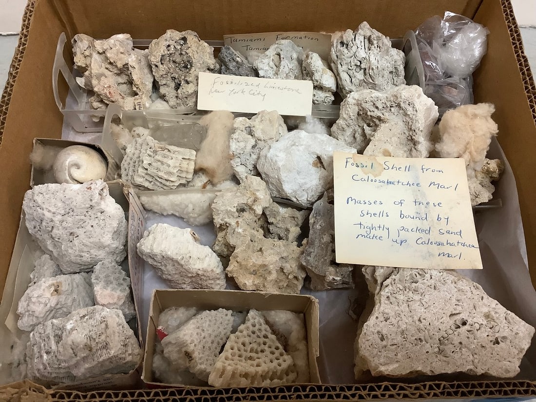 Various Rocks & Minerals and Fossils (1 of 1)