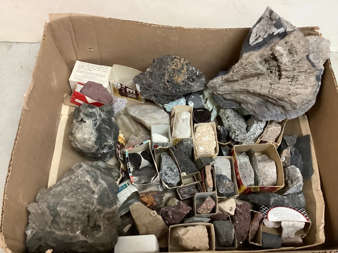 Fossil and minerals: Fossil and minerals