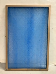 True Blue filter(new in package-20x30x1)