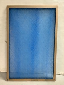 True Blue filter(new in package-20x30x1)